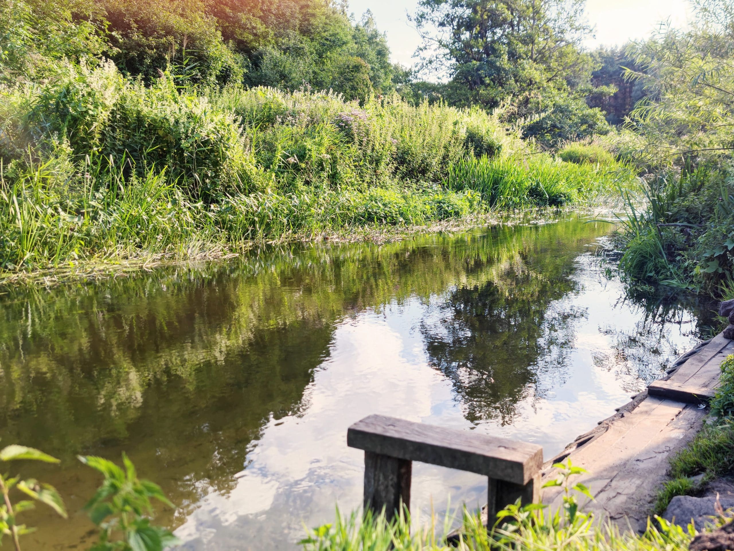Drawieński Park Narodowy - postój na Bogdance