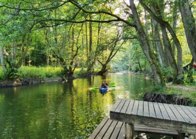 Drawieński Park Narodowy - postój na Bogdance